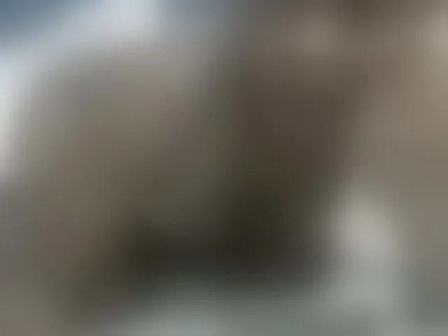 Live sex webcam photo for PrettyAlianah #293919611