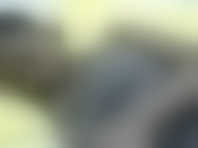 Live sex webcam photo for PrettyAlianah #294282024