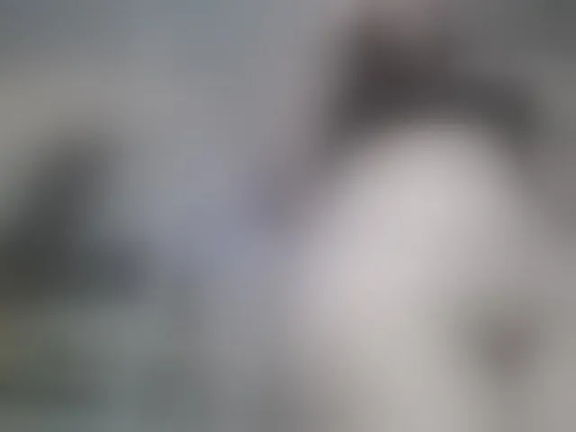 Live sex webcam photo for PrettyAriel #293871949