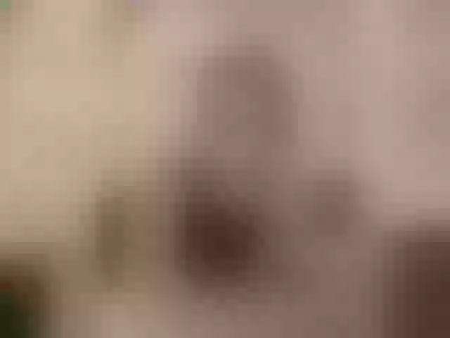Live sex webcam photo for PrettyKatea #291888492