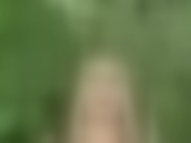 Live sex webcam photo for PrettyKatea #294284355
