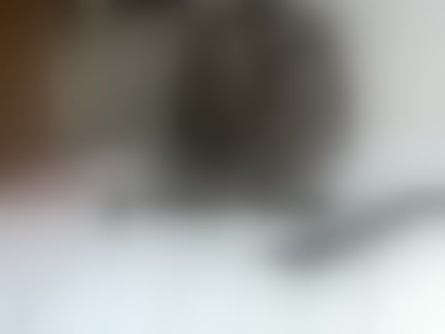 Live sex webcam photo for PrettyOne1 #293022134