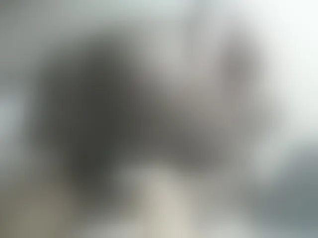 Live sex webcam photo for PrettyOne1 #293108438