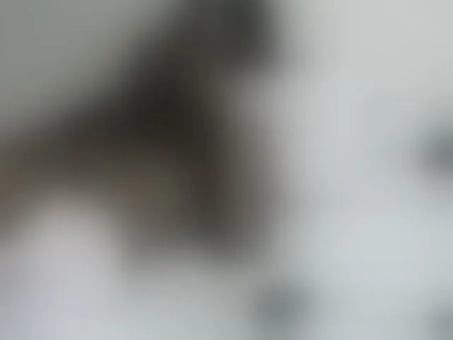 Live sex webcam photo for PrettyOne1 #293301201
