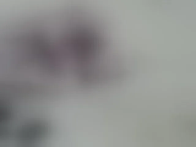 Live sex webcam photo for PrettyOne1 #293655509
