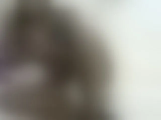 Live sex webcam photo for PrettyOne1 #293659565