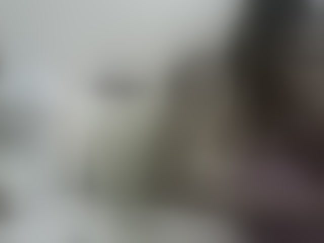 Live sex webcam photo for PrettyOne1 #293688350