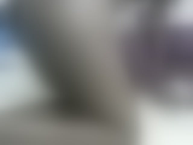Live sex webcam photo for PrettyOne1 #293692354