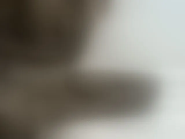 Live sex webcam photo for PrettyOne1 #293845798