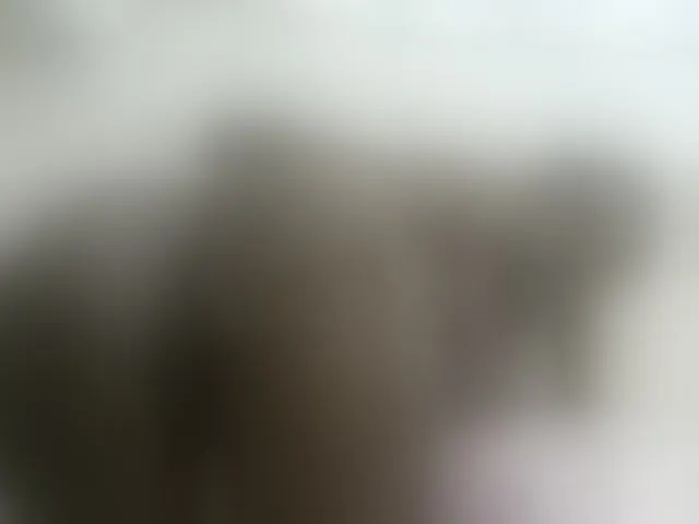 Live sex webcam photo for PrettyOne1 #293847119