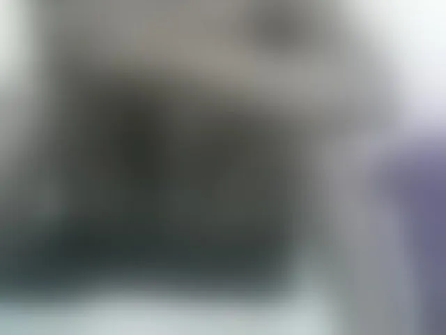Live sex webcam photo for PrettyOne1 #293994410