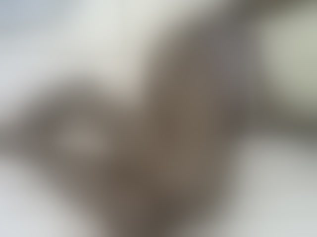 Live sex webcam photo for PrettyOne1 #294202669