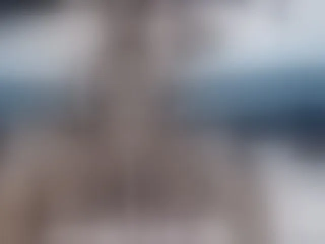 Live sex webcam photo for Prettybkack25 #293919806