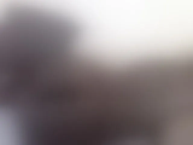 Live sex webcam photo for Prettyblackgal #288050346