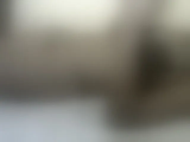 Live sex webcam photo for Prettyblackgal #288050358