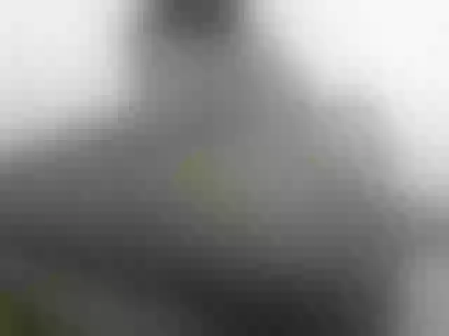 Live sex webcam photo for Prettyblackgal #288050415