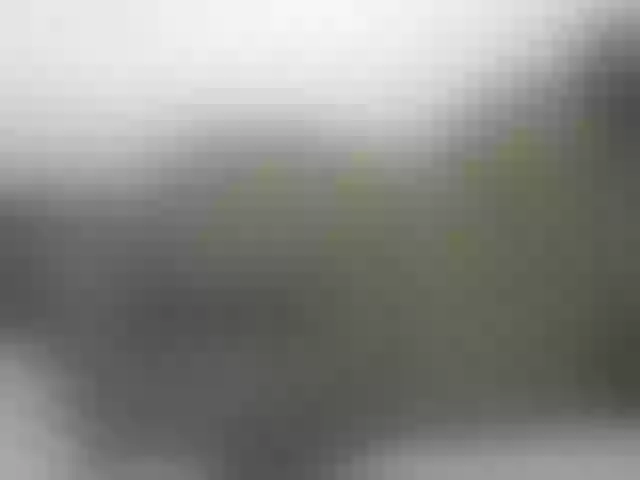 Live sex webcam photo for Prettyblackgal #288050507