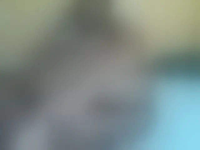 Live sex webcam photo for Prettyblackgal #293114537