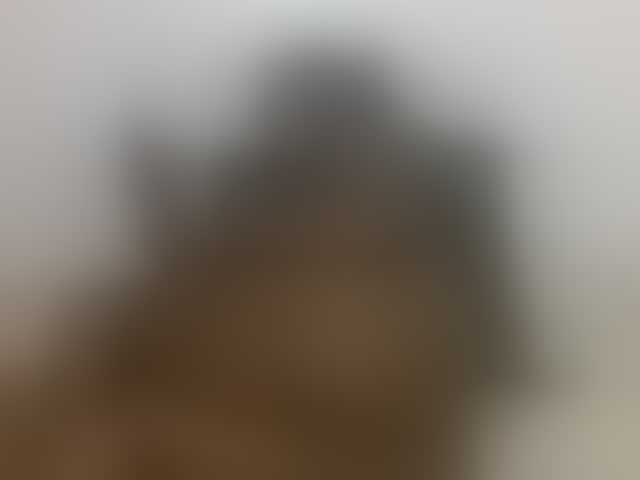 Live sex webcam photo for Prettyblackgal #294187956