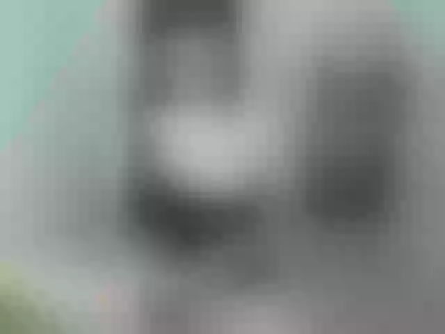 Live sex webcam photo for Prettycockcums69 #276861765