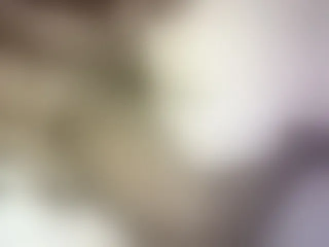 Live sex webcam photo for Prettydoll5 #293929518