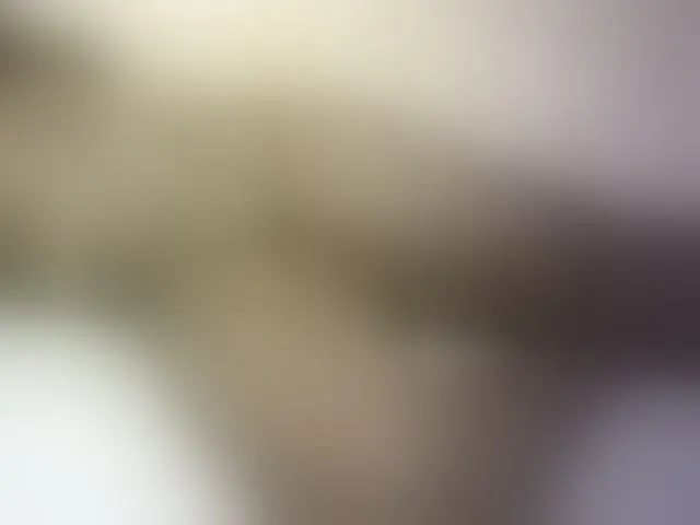 Live sex webcam photo for Prettydoll5 #293931727