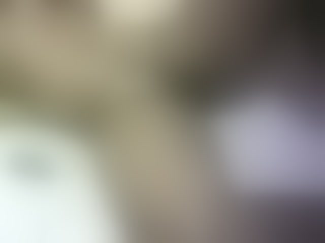 Live sex webcam photo for Prettydoll5 #293972693