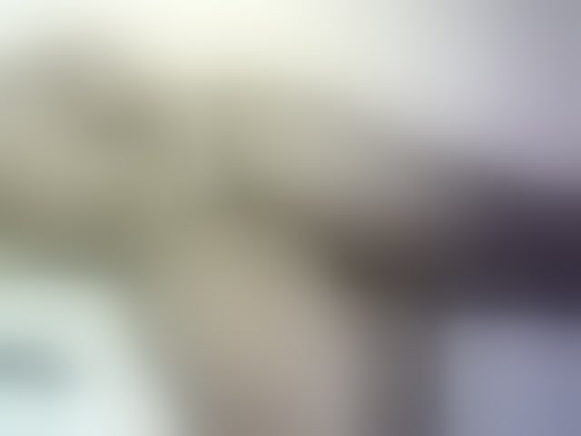Live sex webcam photo for Prettydoll5 #293973642