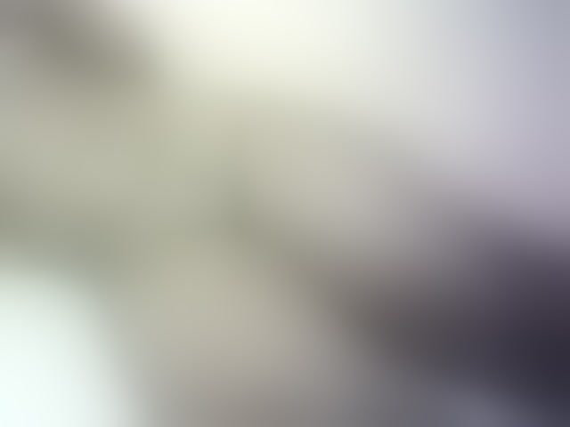 Live sex webcam photo for Prettydoll5 #294052912