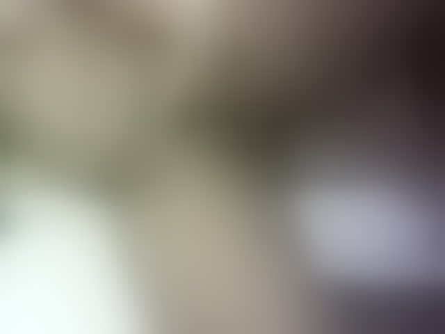 Live sex webcam photo for Prettydoll5 #294055878