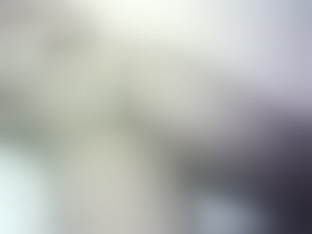 Live sex webcam photo for Prettydoll5 #294147877