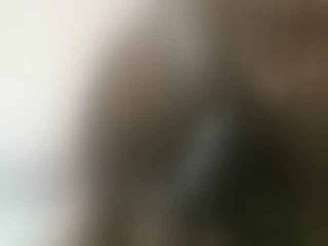 Live sex webcam photo for Prettyface24 #288050153