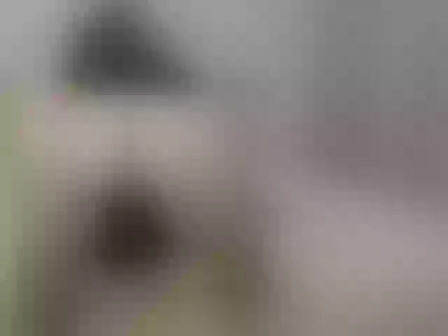 Live sex webcam photo for Prettygirl1703 #292041746
