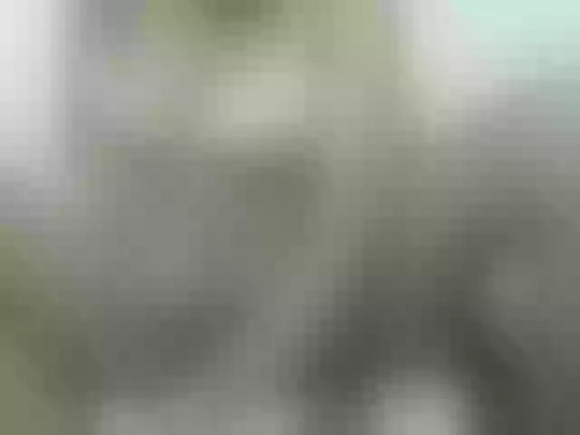 Live sex webcam photo for prettyqueen1 #276146209