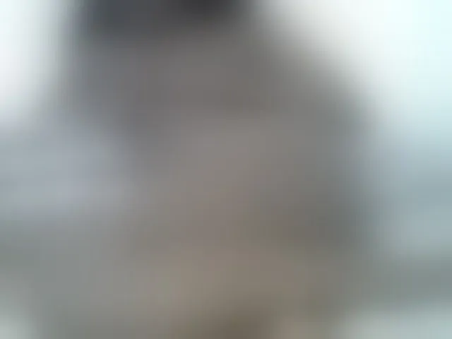 Live sex webcam photo for Prettyrennie #293245076