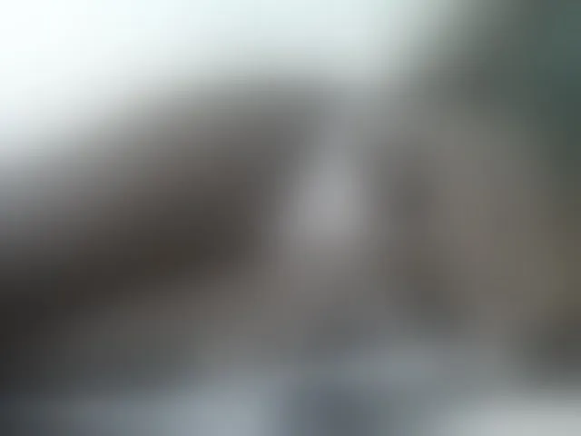 Live sex webcam photo for Prettyrennie #293312046
