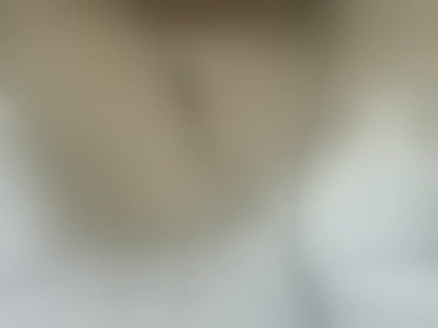 Live sex webcam photo for Priana #293949714