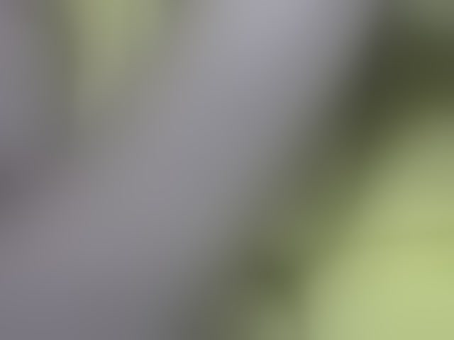 Live sex webcam photo for Priana #294070456