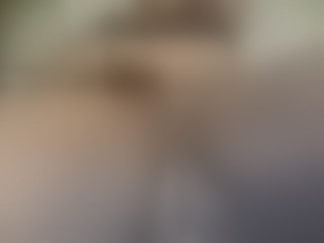 Live sex webcam photo for Princess333 #294123505