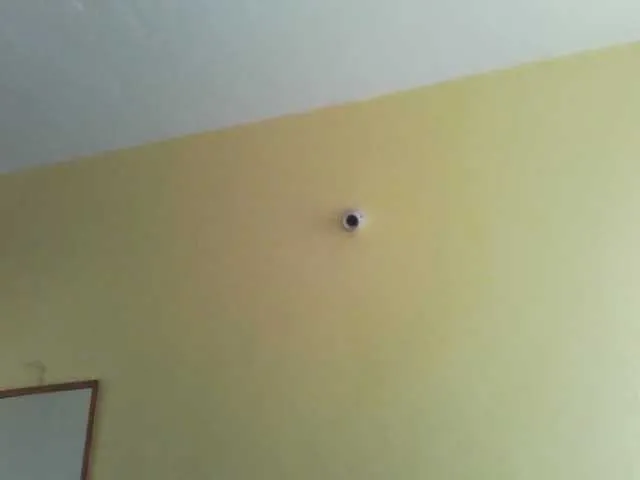 Live sex webcam photo for Princessmiles #291478378