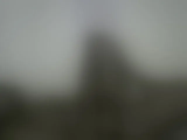 Live sex webcam photo for Princesstanasha #293595251