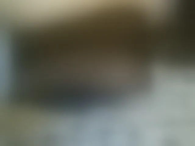 Live sex webcam photo for Princesstanasha #293841126