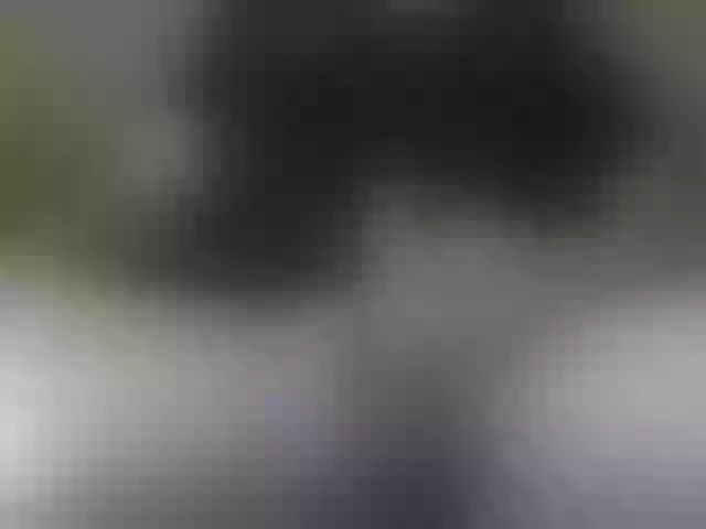 Live sex webcam photo for PrincipitoHot #290738189