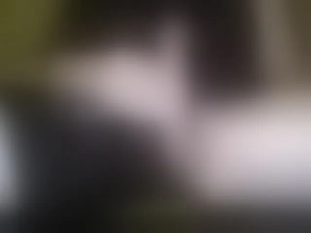 Live sex webcam photo for PrincipitoHot #292845725