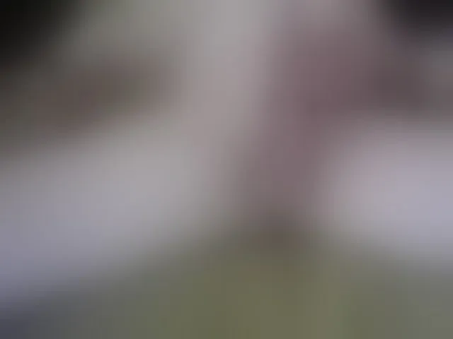 Live sex webcam photo for PrincipitoHot #293868492