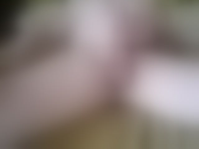 Live sex webcam photo for PrincipitoHot #293895502
