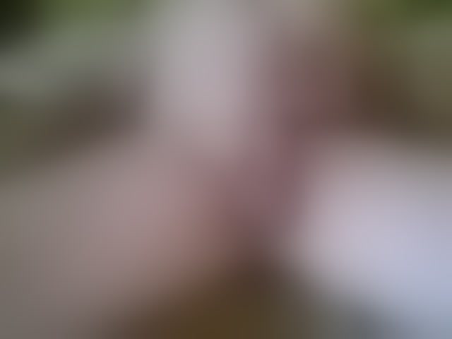 Live sex webcam photo for PrincipitoHot #293997348