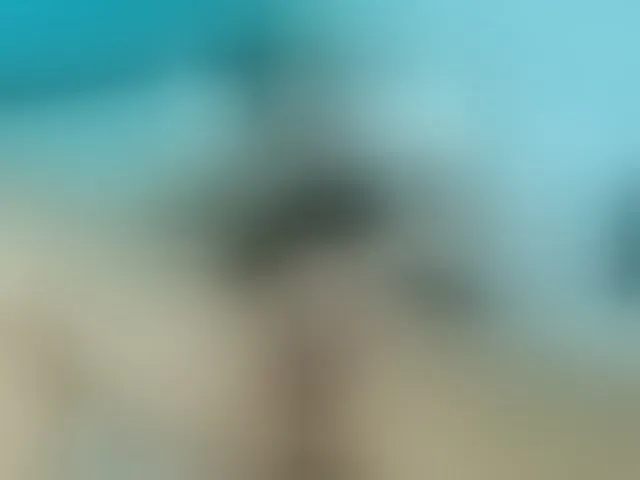 Live sex webcam photo for PriscilaSmiith25 #293652168