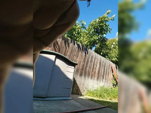 Live sex webcam photo for Prurient-Gem #275711503