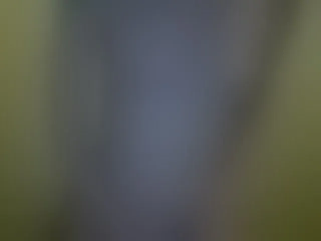 Live sex webcam photo for Purple-cat55 #292744379